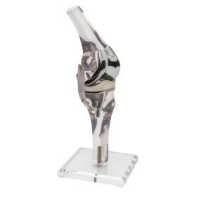 Model koleno z endoprotezo