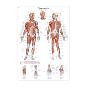 Plakat Trigger Points, 70x100cm