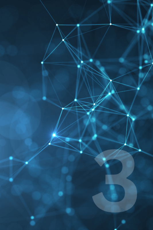 Manipulacije fascije po metodi Stecco 3. modul